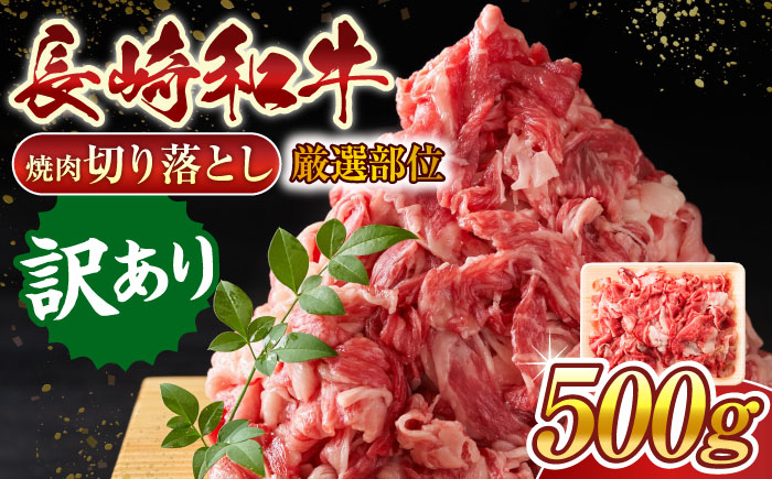 【訳あり】【A4〜A5】長崎和牛焼肉切り落とし(肩ロース・バラ）　500g【株式会社 MEAT PLUS】 [QBS003]