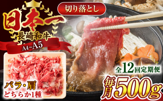 【全12回定期便】【A4〜A5】長崎和牛切り落とし　500g【株式会社 MEAT PLUS】 [QBS047]