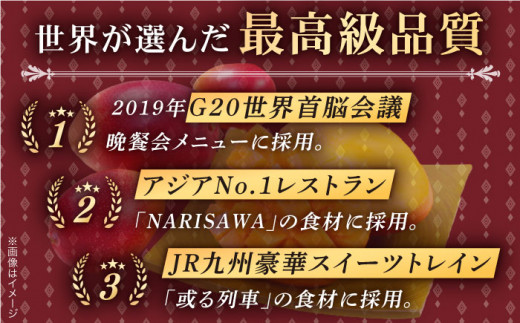 【先行予約】【心地よい至福の果肉感！】完熟プレミアム プリンセス マンゴー 2L×2玉 完熟マンゴー 高品質マンゴー まんごー 【堀内フルーツファーム】 [QAT007] プリンセスマンゴー 完熟マンゴー 高品質マンゴー まんごー 果物 フルーツ