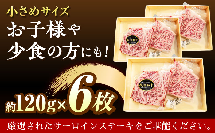 崎和牛A5ランクサーロインステーキ6枚 約120g×6枚 [QAA035]