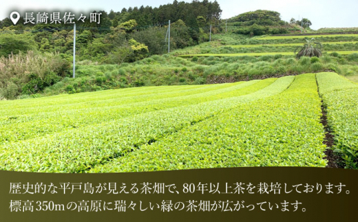 【全3回定期便】【当茶園自慢のお茶セット】ブレンド茶 「天賦のちから」・釜炒り茶 緑茶 ティーバック （120g＋30個入）×2/回【上ノ原製茶園】 [QAO032]