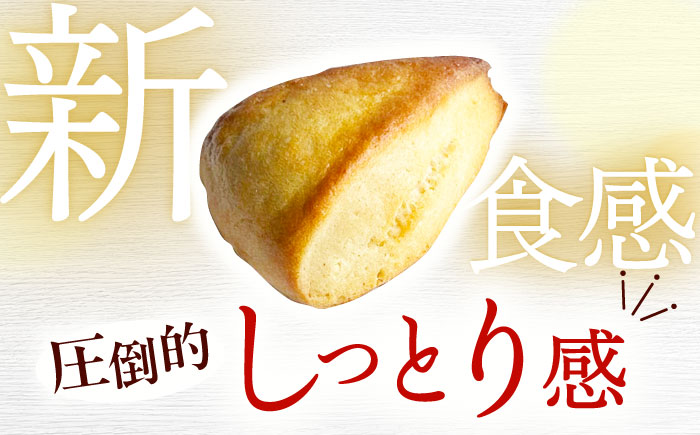 【卵不使用！】生スコーン おまかせ10個セット [QBZ001]