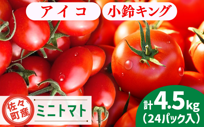 【先行予約】ミニトマト アイコ＆小鈴キング 総計4.5kg【C&T farm】 [QBG004]