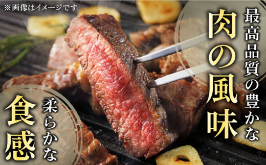 【全12回定期便】「希少部位を堪能♪」長崎和牛 焼肉 4種の 食べ比べ セット 計4.8kg （約400g/回）【黒牛】 [QBD052]