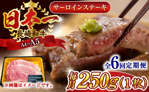 【全6回定期便】【A4〜A5】長崎和牛サーロインステーキ　250g（250g×1枚）【株式会社 MEAT PLUS】 [QBS070]