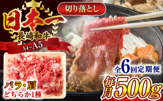 【全6回定期便】【A4〜A5】長崎和牛切り落とし　500g【株式会社 MEAT PLUS】 [QBS046]