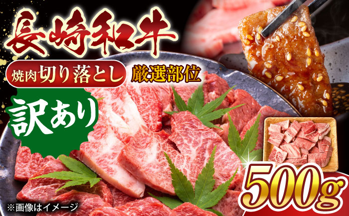 【訳あり】【A4〜A5】長崎和牛焼肉切り落とし(肩ロース・バラ）　500g【株式会社 MEAT PLUS】 [QBS003]