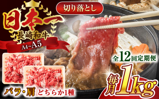 【全12回定期便】【A4〜A5】長崎和牛切り落とし　1kg(500g×2p）【株式会社 MEAT PLUS】 [QBS050]