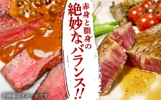 長崎和牛ヒレステーキ　150g×2枚　【肉のあいかわ】 [QAA028] 牛肉 ヒレ ひれ ヒレ肉 ヒレステーキ 和牛 ひれすてーき ひれ 希少部位 ステーキ すてーき 九州 長崎和牛 焼肉