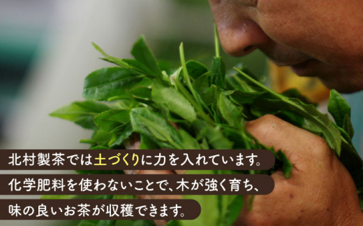 【全12回定期便】抹茶入り濃緑茶フィナンシェ 「茶々舟-SASAFUNE-」3箱入/回【株式会社 茶の間】 [QAD050]