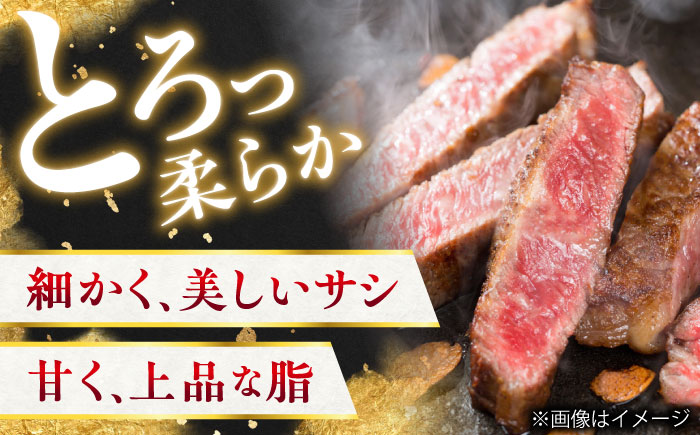 崎和牛A5ランクサーロインステーキ6枚 約120g×6枚 [QAA035]