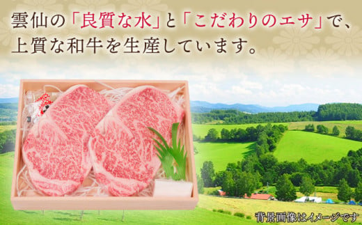 【受賞歴多数！】長崎和牛 サーロイン ステーキ 約1.0kg【株式会社 OGAWA】 [QBI004] 牛肉 和牛 焼き肉 バーベキュー 6万1千円 61000円