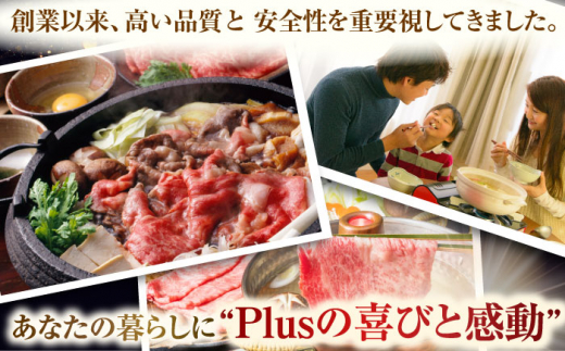 【厳選部位】【A4〜A5】長崎和牛サーロインしゃぶしゃぶすき焼き用　500g【株式会社 MEAT PLUS】 [QBS017]