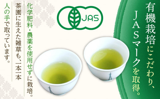 【全6回定期便】「1番茶の濃厚な旨味！」さざの 有機栽培茶  極  （100g×3本/回）【宝緑園】 [QAH023]