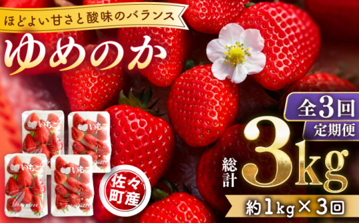 【先行予約・全3回定期便】佐々町産 いちご 「ゆめのか」約1.0kg （250g×4パック）/回 （総量計3.0kg）【市丸農園 いちご研究室】 [QBF003]