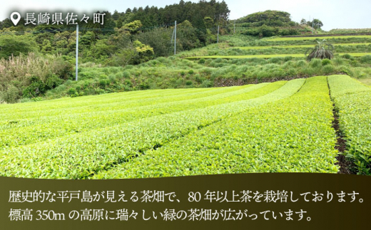 【香ばしい香りと旨み】極上 釜炒り 茶  100g×3袋【上ノ原製茶園】 [QAO019]