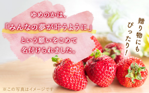 【先行予約・全3回定期便】佐々町産 いちご 「ゆめのか」約1.0kg （250g×4パック）/回 （総量計3.0kg）【市丸農園 いちご研究室】 [QBF003]