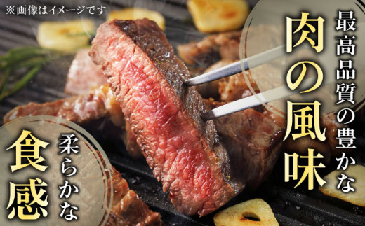 長崎和牛 焼肉 4種の 食べ比べ セット 計1.0kg【黒牛】 [QBD023]  いちぼ トモサンカク 三角バラ サブトン 40000円 4万円  大人気  焼肉 絶品 焼肉 至高 焼肉 国産