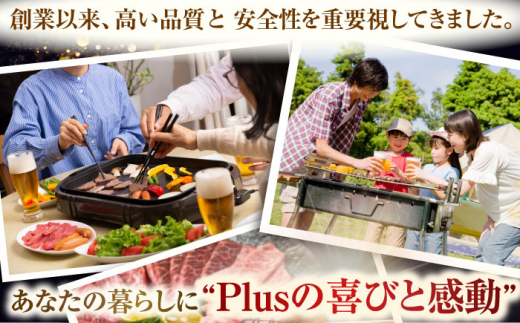 【全12回定期便】【A4〜A5】長崎和牛焼肉用　500g【株式会社 MEAT PLUS】 [QBS035]