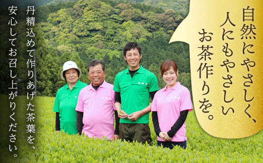 【全6回定期便】「1番茶の濃厚な旨味！」さざの 有機栽培茶  極  （100g×3本/回）【宝緑園】 [QAH023]