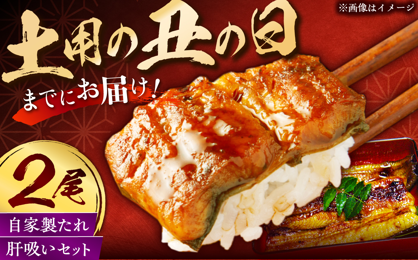 【土用丑の日発送】 【老舗の味】何年も受け継がれる秘伝のタレと炭火手焼き！うなぎ蒲焼き2尾セット（肝吸い付き） [QCC004]