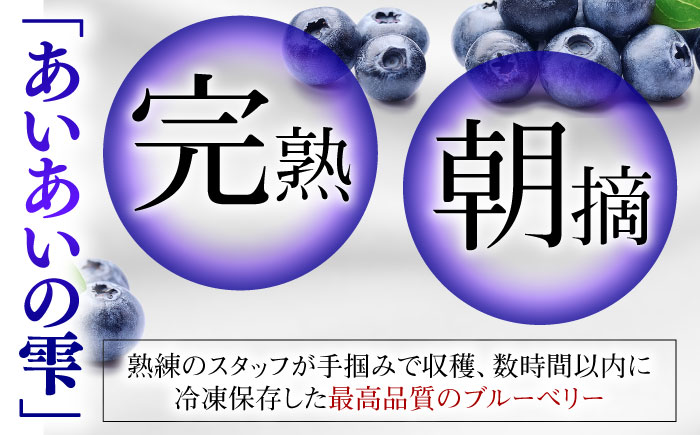 ジューシーで濃厚な甘み！佐々町産冷凍ブルーベリー「あいあいの雫」300ｇ×4袋【堀内フルーツファーム】 [QAT017]