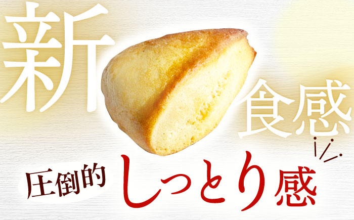 【卵不使用！】生スコーン プレーン・極上焼塩 2種10個セット [QBZ002]