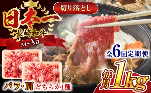 【全6回定期便】【A4〜A5】長崎和牛切り落とし　1kg(500g×2p）【株式会社 MEAT PLUS】 [QBS049]