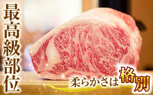 【厳選部位】【A4〜A5】長崎和牛サーロインしゃぶしゃぶすき焼き用　1kg（500g×2p）【株式会社 MEAT PLUS】 [QBS019]