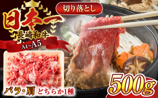 【A4〜A5】長崎和牛切り落とし　500g【株式会社 MEAT PLUS】 [QBS005]