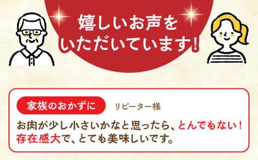 【全12回定期便】長崎角煮まぶし10袋【株式会社岩崎食品】 [QBR036]