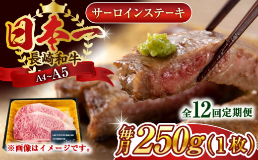 【全12回定期便】【A4〜A5】長崎和牛サーロインステーキ　250g（250g×1枚）【株式会社 MEAT PLUS】 [QBS071]