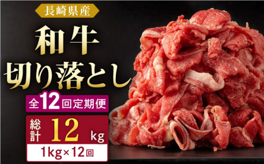 【全12回定期便】長崎県産 和牛 切り落とし 1kg(500g×2パック)  【合同会社肉のマルシン】 [QBN039]