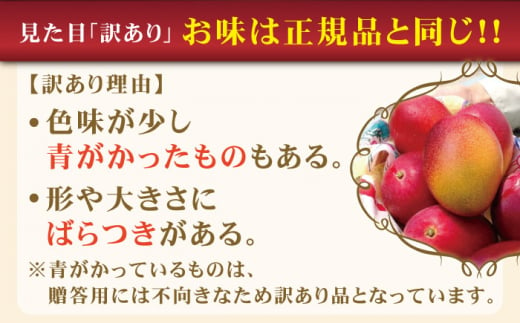 【訳あり】【心地よい至福の果肉感！】完熟プレミアム プリンセスマンゴー 不揃い3000g【堀内フルーツファーム】 [QAT015]