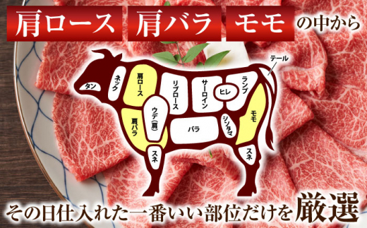 【訳あり】【A4〜A5】長崎和牛しゃぶしゃぶすき焼き用（肩ロース肉・肩バラ肉・モモ肉）700g【株式会社 MEAT PLUS】 [QBS012]