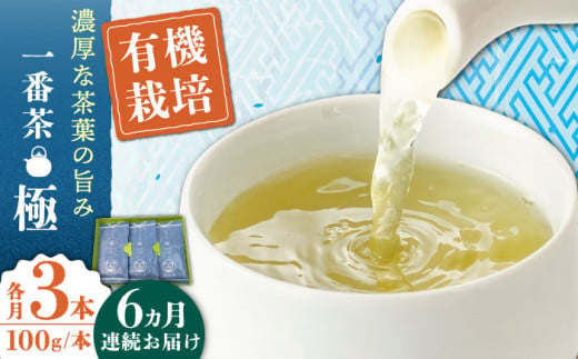 【全6回定期便】「1番茶の濃厚な旨味！」さざの 有機栽培茶  極  （100g×3本/回）【宝緑園】 [QAH023]