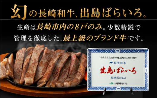 【全6回定期便】長崎和牛 出島ばらいろ  サーロイン ステーキ500g（250g×2枚） [QBN020]