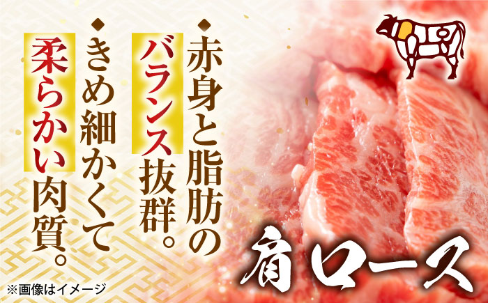 【全12回定期便】【訳あり】【A4〜A5】長崎和牛焼肉切り落とし(肩ロース・バラ）　500g【株式会社 MEAT PLUS】 [QBS041]
