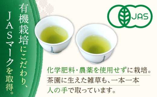 【有機栽培茶】一煎茶 ティーバッグ 4種 飲み比べ セット （各3g×10個入）【宝緑園】 [QAH033] お茶 有機栽培 お茶 佐々 長崎 お茶 お茶