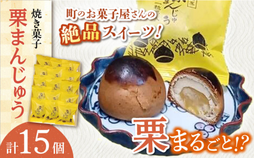 【当店自慢！】こだわりの 焼き菓子 栗まんじゅう 15個入【栗まんじゅう本舗 小田製菓】 [QAR007]