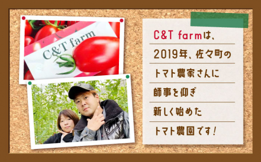 【甘くてジューシー】ミニトマト アイコ 2.0kg【C&T farm】 [QBG002]