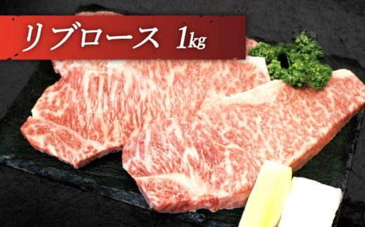 【希少部位】長崎和牛 贅沢3種の ステーキ Bセット 計2.2kg (3〜4人前)【黒牛】 [QBD028] ヒレ ランプ リブロース 16万円 160000円    