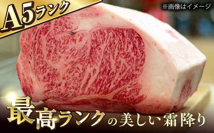 崎和牛A5ランクサーロインステーキ6枚 約120g×6枚 [QAA035]