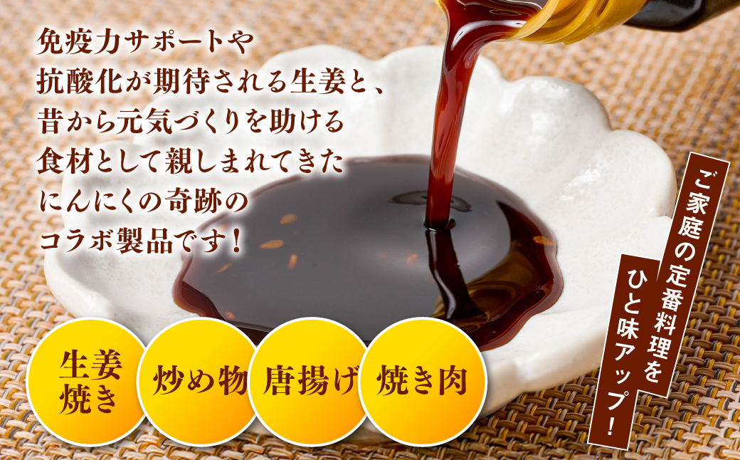 生姜焼きのたれ 2本セット しょうが 生姜 ショウガ ジンジャー 豚肉 おかず 料理 夕飯 夕食 晩ごはん 味付 調味料 たれ タレ お弁当 生姜焼き しょうが焼き 炒め物 焼肉のタレ 熊本 八代