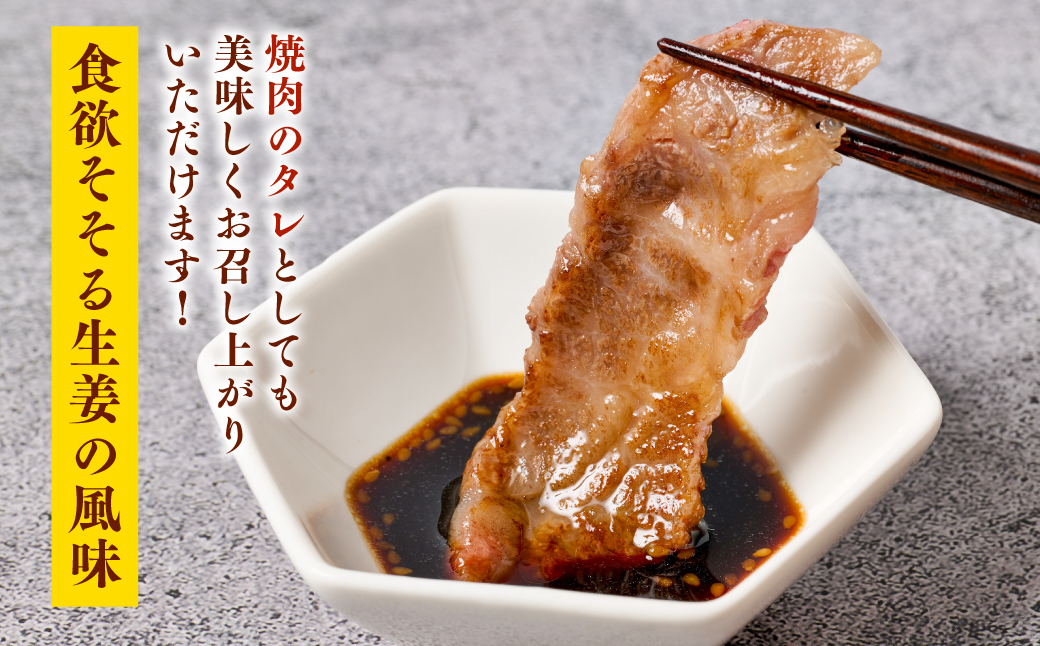 生姜焼きのたれ 2本セット しょうが 生姜 ショウガ ジンジャー 豚肉 おかず 料理 夕飯 夕食 晩ごはん 味付 調味料 たれ タレ お弁当 生姜焼き しょうが焼き 炒め物 焼肉のタレ 熊本 八代