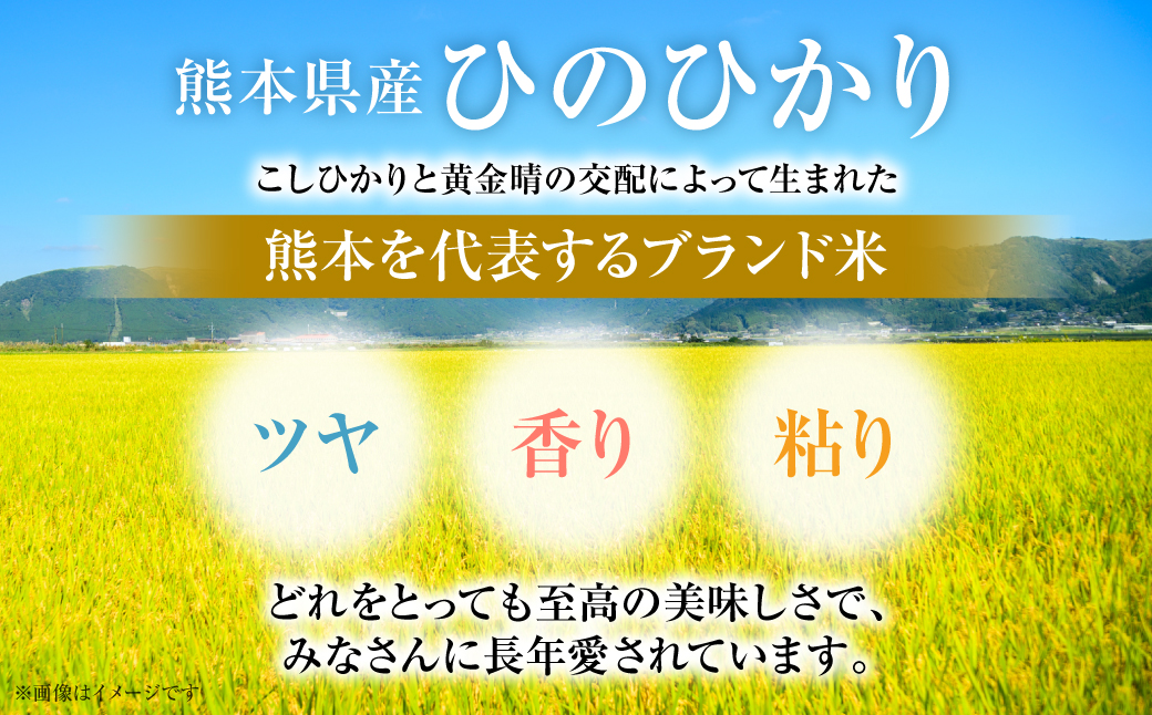 【令和7年産】 熊本県産 くまモンひのひかり 5kg (5kg×1袋) 米 お米 精米 白米 ごはん ご飯 熊本