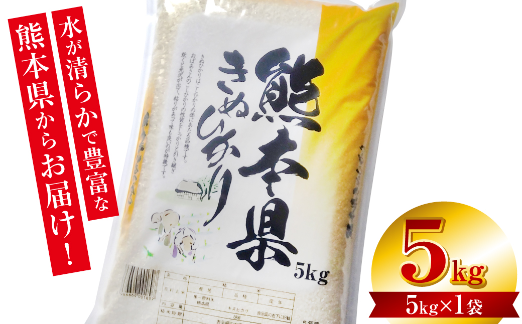 【令和7年産】 熊本県産 きぬひかり 5kg（5kg×1袋） 米 お米 精米 白米 ごはん ご飯 熊本