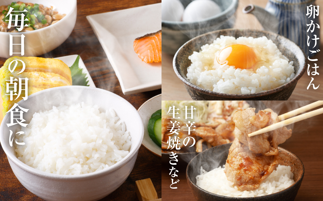【令和7年産】 熊本県産 きぬひかり 5kg（5kg×1袋） 米 お米 精米 白米 ごはん ご飯 熊本