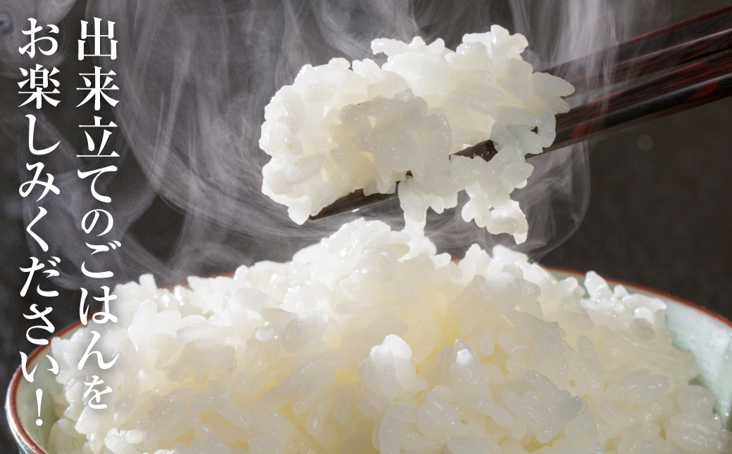 【令和7年産】  熊本県産 にじのきらめき5kg（5kg×1袋） 米 お米 精米 白米 ごはん ご飯 熊本