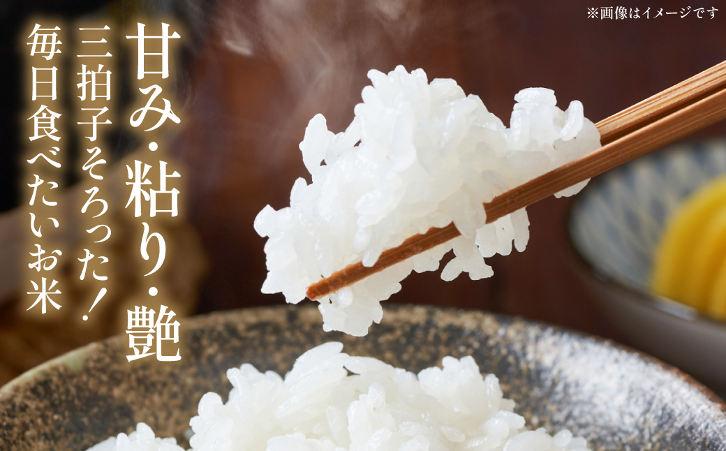 ã什å7幎ç£ã ãããã«ãª 5kgÃ2è¢ åèš10kg çæ¬ç å
«ä»£åžç£ ç±³ ãç±³ 粟米 çœç±³ åœç£